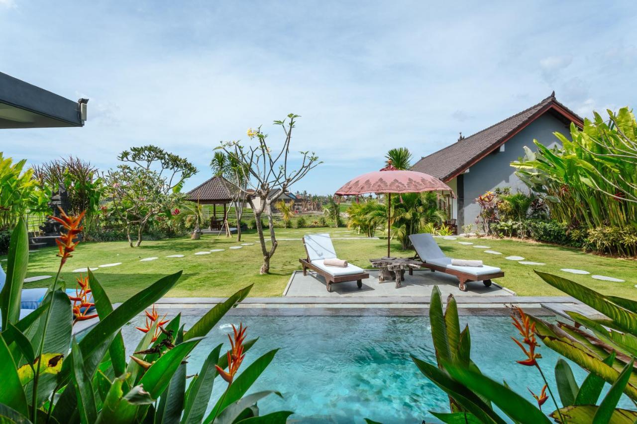 Carik Bali Guest House Canggu Экстерьер фото